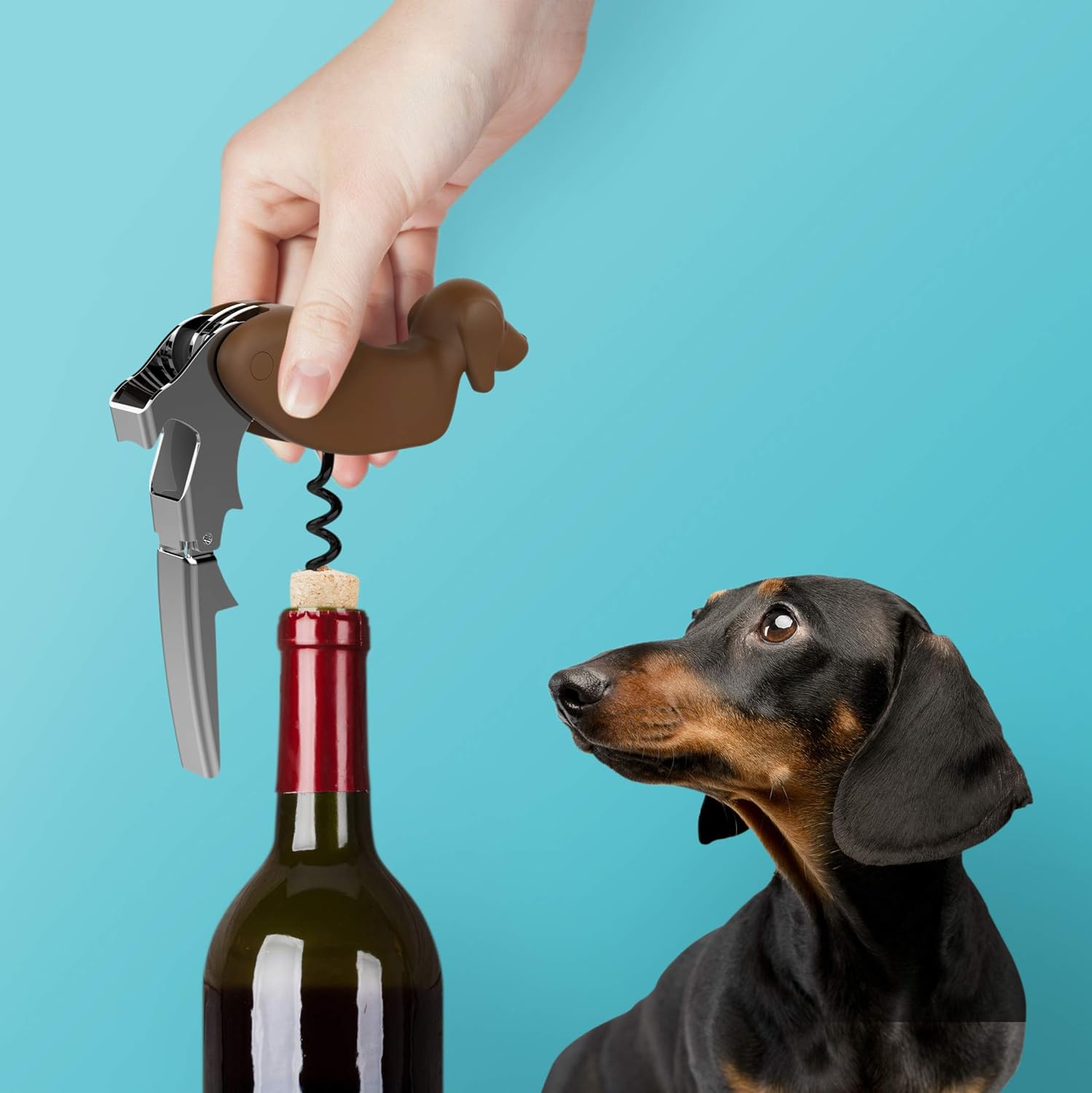Dog Wine Bottle Opener Corkscr – обзор и цена Wine In Beer Bottle